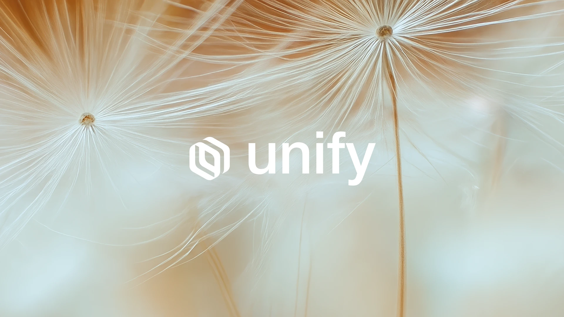 Unify engineers growth by using the right model for every task